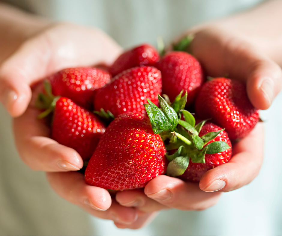 strawberry-pick-your-own-soon-3