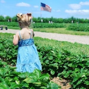 strawberry patch with flag and little girl