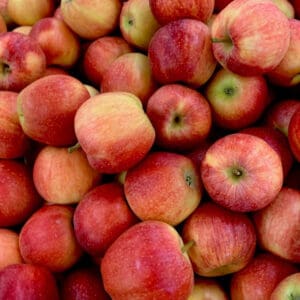 Close-up of red apples