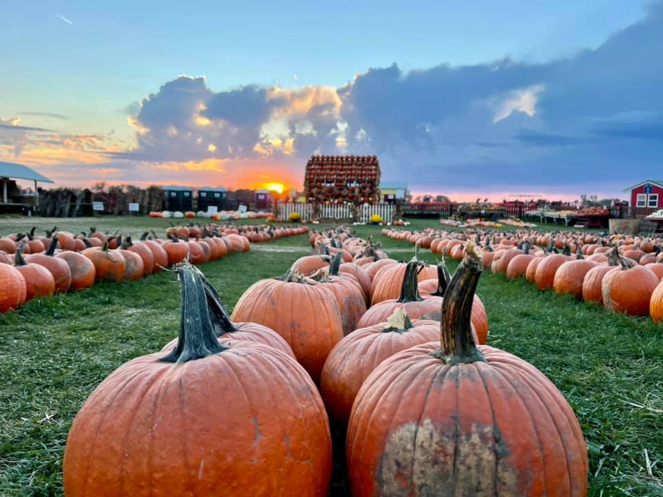 Stade's Farm & Market